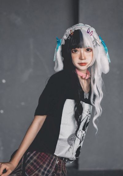 细狗网页版免费登录入口