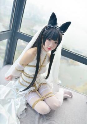 一级特黄录像播放
